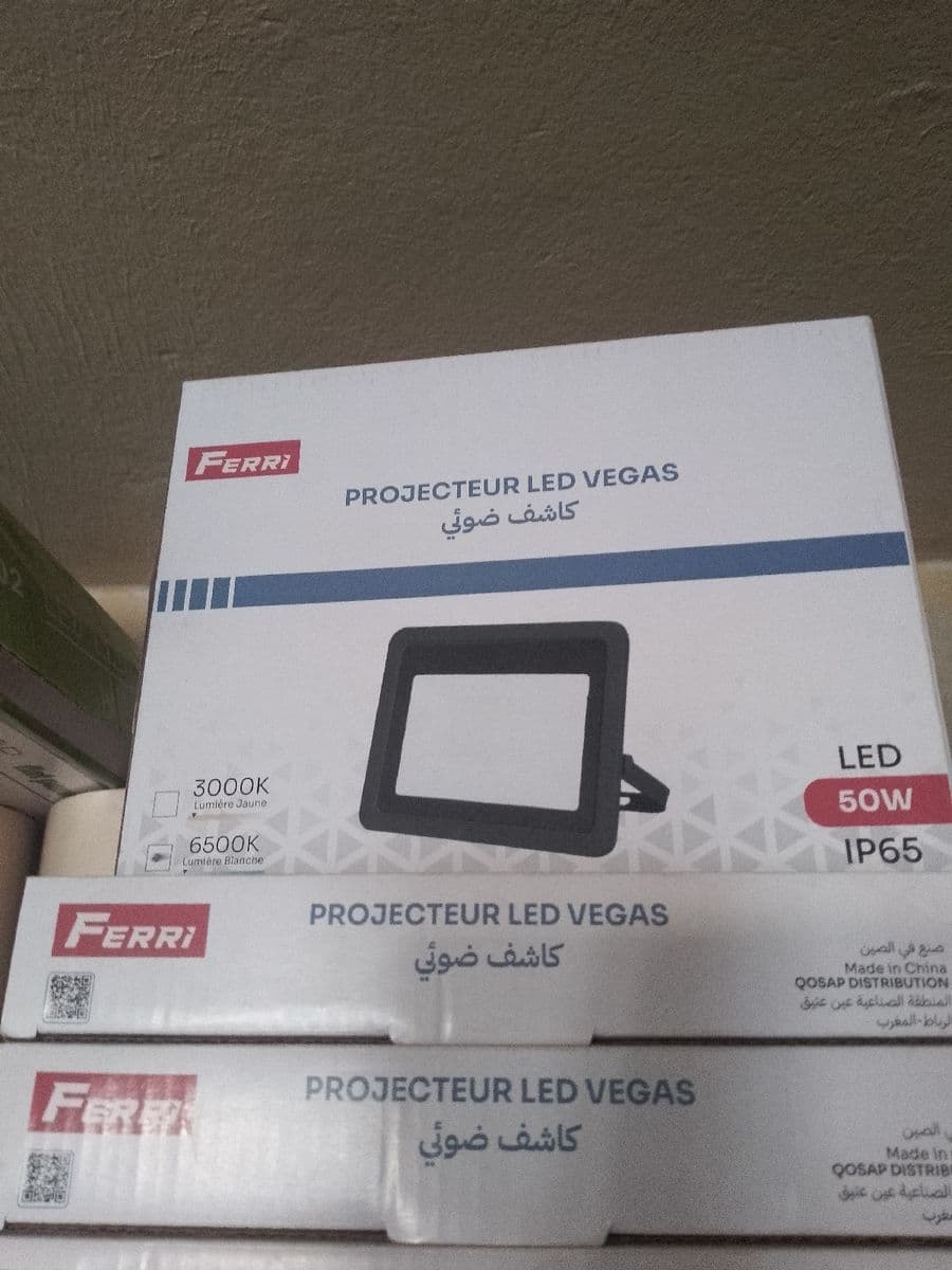 Projecteur 50w ferri